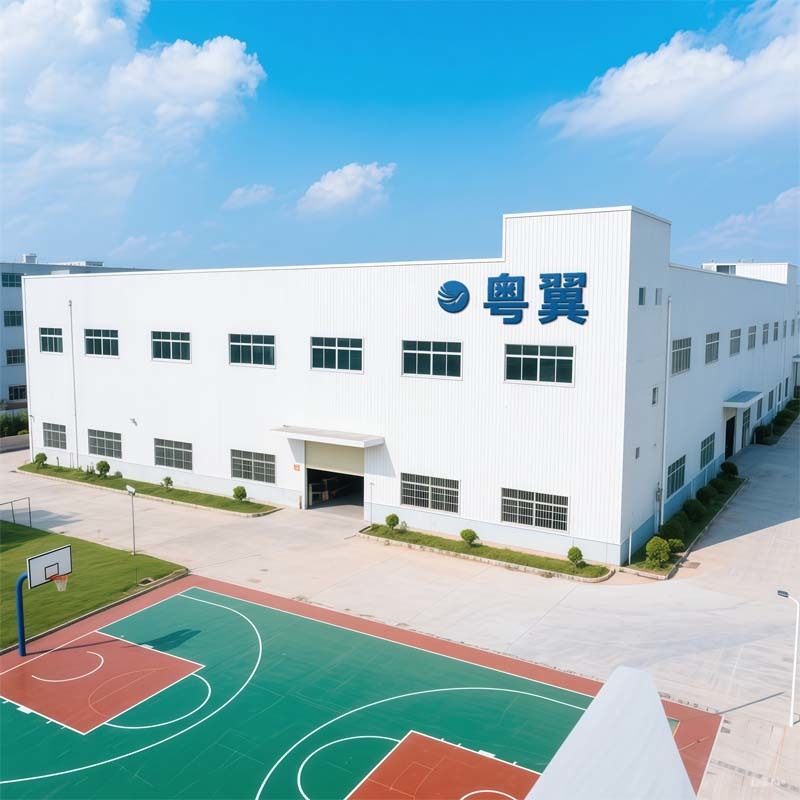 YUEYI factory building in Dalang, Dongguan